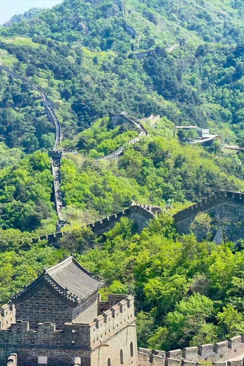 Private Mutianyu Great Wall and Bird's Nest & Water Cube