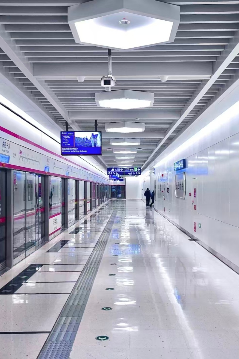 Disclaimer & Service Terms